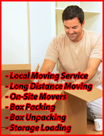 Packers And Movers Noida Sector 116